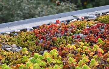 the cost of Southern Green green roof installation