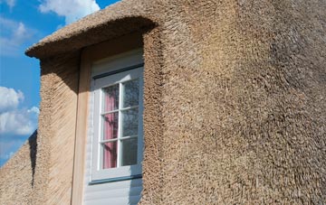 Southern Green thatch roof disadvantages